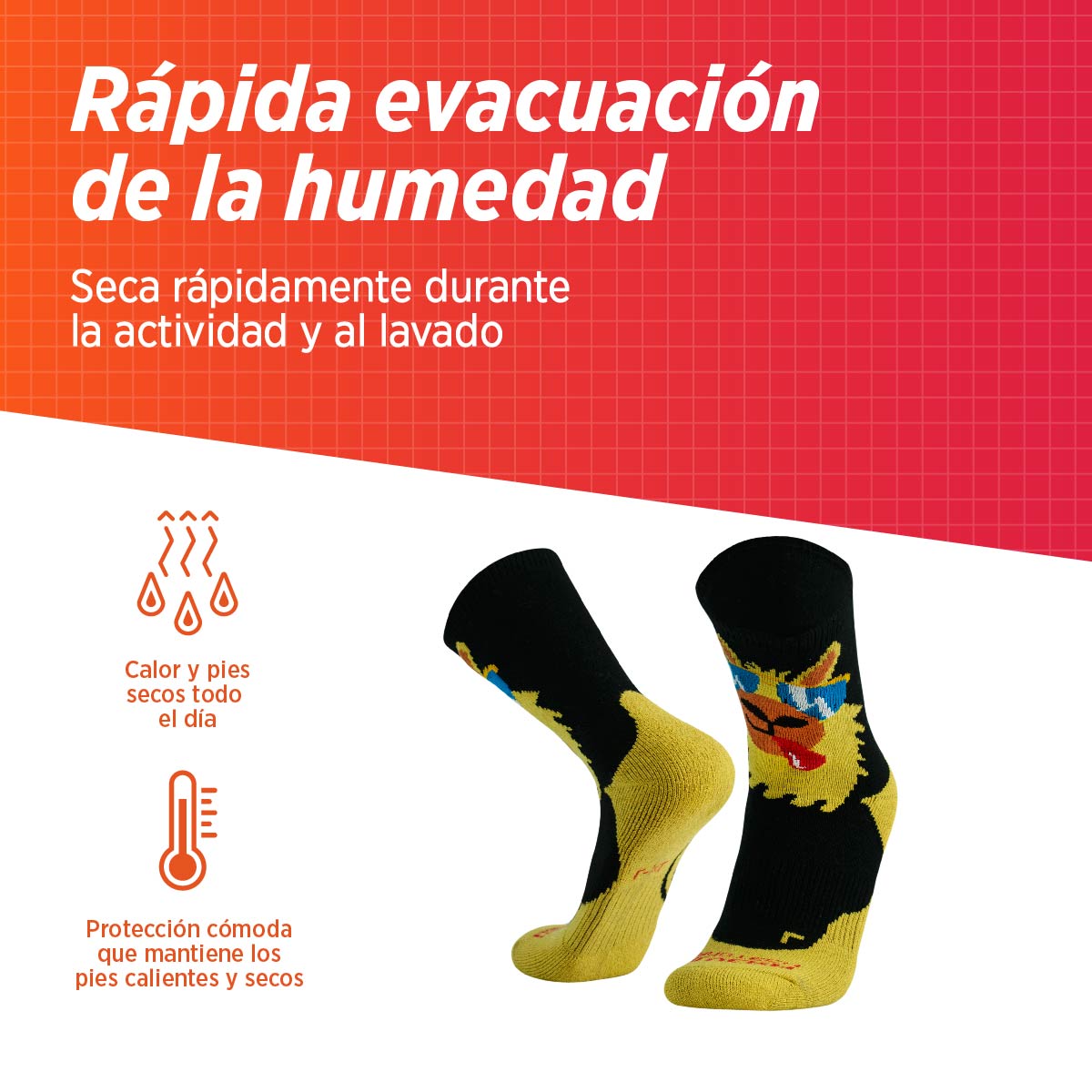 Calcetines de Trekking de Baby Alpaca & Microfibra | Alpaloca
