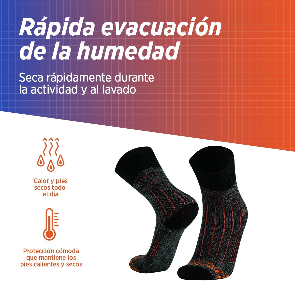 Calcetines de Invierno | Artica 2-Pack
